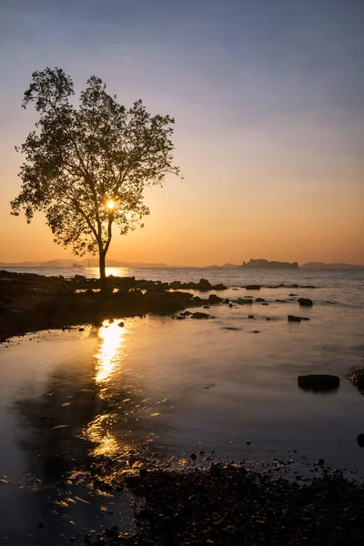 Silhouette Tree Sunset Koh Kwang Island Klong Muang Tub Kaek — Fotografia de Stock
