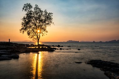 Siluet kadın ve ağaç hareketli deniz manzaralı Koh Kwang adasının gün batımında Klong Muang ve Tayland, Yengeç 'de Tub kaek sahillerinde. Tayland 'ın ünlü tatil beldesi. Yaz tatilinde sırt çantalı..