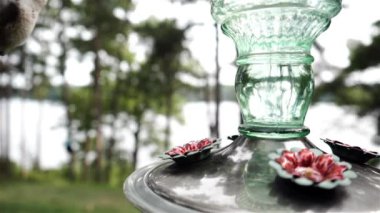 Sinekkuşu yavaş çekimde besleyiciden nektar alıyor..