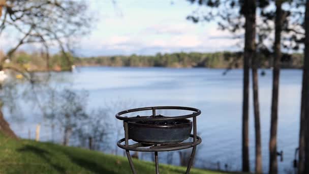 Catbird Gris Terres Par Lac Pour Manger Gelée Raisin — Video