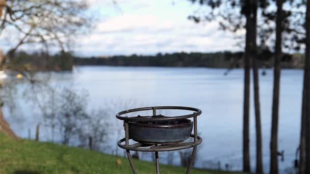 Oriole Aterriza Cámara Lenta Para Comer Gelatina Uva Junto Lago — Vídeos de Stock