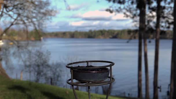 Robin Lands Slow Motion Eats Hops Feeder — 비디오