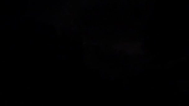 Молнии Ветвей Ночному Небу Замедленной Съемке — стоковое видео