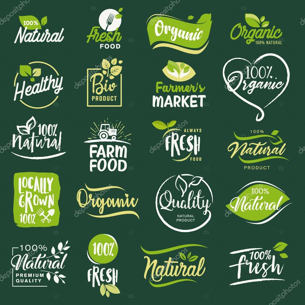 Vector illustration concepts for web design, packaging design, promotional material.
