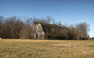 Sarmaşık kapalı ahır