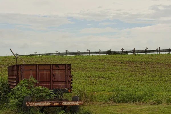 Wagon and drying racks