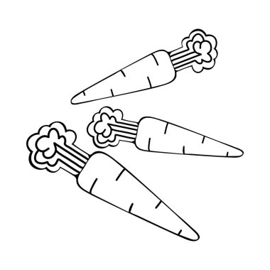 Vektör olarak doğrusal havuç simgesi. Tarım fabrikası. Salata malzemesi. Sebze çiftliği. Vejetaryen yemeği. Organik yiyecekler. İnce çizgili çizim. Siyah beyaz çizgili sebze ikonu. Contour sembolü.