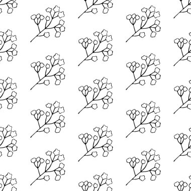 Vektörde çiçeksiz desen. Resim çizimi. Bitki elementlerinin arka planı. Çayır çayırı ya da orman çimi. Beyaz arkaplandaki izole nesne.