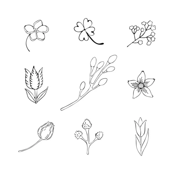 Sanatsal çizgiler tarafından çizilmiş bitki elementleri kümesi. Çiçeklerin, otların ve bitkilerin siyah beyaz simgeleri. Ayrı nesne — Stok Vektör