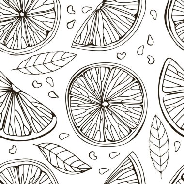 Limon, itrus, limon. Beyaz arka planda izole edilmiş. Tropik yaz meyvesi. Detaylı narenciye çizimi çay, meyve suyu ve doğal kozmetik için harika. Siyah çizim. El çizimi