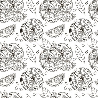 Limon, itrus, limon. Beyaz arka planda izole edilmiş. Tropik yaz meyvesi. Detaylı narenciye çizimi çay, meyve suyu ve doğal kozmetik için harika. Siyah çizim. El çizimi