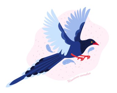 Tayvan mavisi saksağan. Tayvan Hayvanı. Urocissa caerulea. Şirin Mavi Kuş gökyüzünde uçuyor. Asya 'nın egzotik kuşu. İskandinav tarzında elle çizilmiş vektör çizimi.