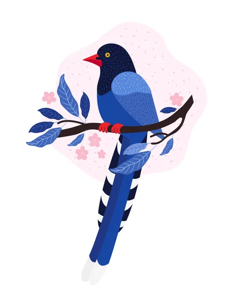 Tajvani azúrszarka. Tajvan állatai. Urocissa caerulea. Aranyos kék madár ül egy ágon rózsaszín trópusi virágok. Ázsia egzotikus madara. Kézzel rajzolt vektor illusztráció skandináv stílusban. — Stock Vector