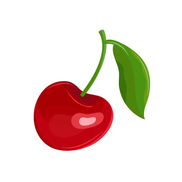 白い背景のベクトルに赤い桜。茎に葉を持つ庭の果実。甘い果物。ベリーアイコン。手描きベクトルイラスト — ストックベクタ
