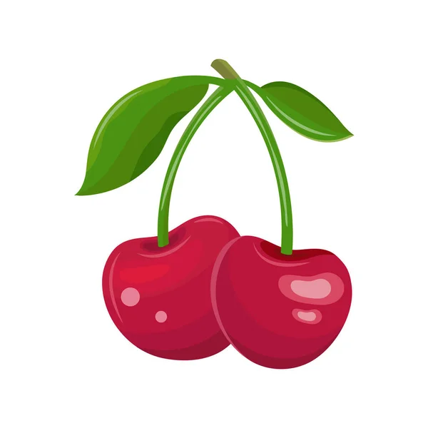 Red cherry on a white background. Two cherries on a branch with leaves. Juicy maroon berry. Sweet fruit cartoon. Hand drawn vector flat illustration — Stock Vector