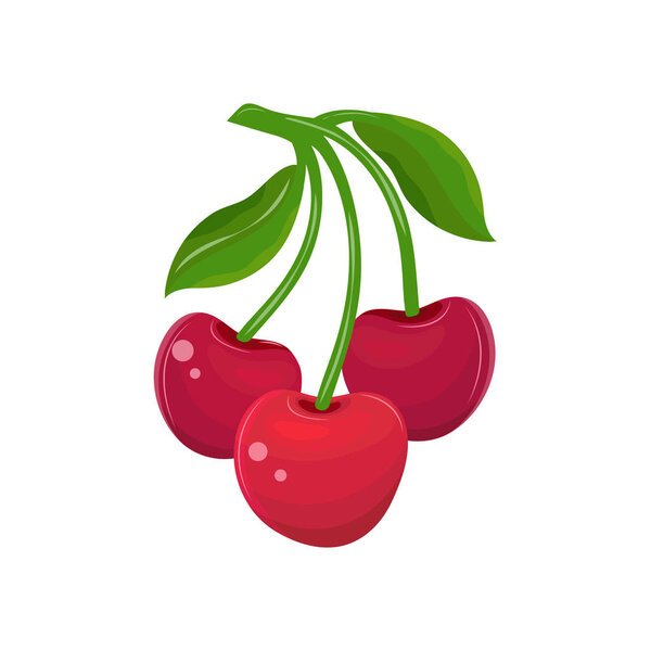Красная вишня на белом фоне. Ветка из трех вишен с листьями на стебле. Сочная ягода. Милый фруктовый мультик. Векторная плоская иллюстрация
.