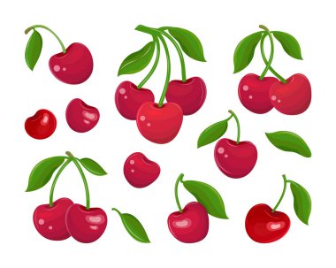 Beyaz arka planda kırmızı kiraz seti. Vektör olarak kiraz meyveleri, sapları ve yaprakların toplanması. Sulu böğürtlen. Tatlı meyve çizgi filmi. El çizimi vektör düz illüstrasyon.