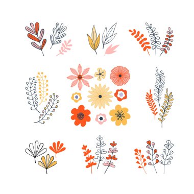 Çiçek elementleri, şifalı bitkiler, çiçekler, saplar, beyaz arka planda yapraklar. El yapımı klasik botanik çizimi. Düğün konsepti. Posterlerin, davetiyelerin, tebrik kartlarının tasarımı için detaylar.