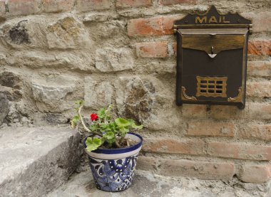 Vintage posta kutusu ve bitki