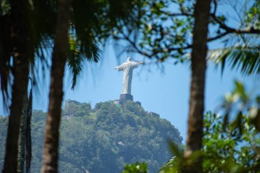 Rio De Janeiro, Brezilya - 14 Ekim 2019: Rio de Janeiro, Brezilya Botanik Bahçesinden Kurtarıcı İsa 'ya Bakış