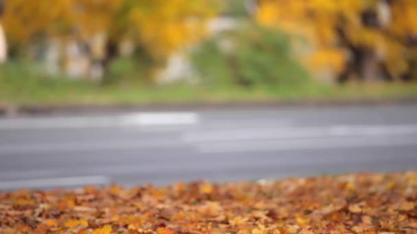 Mașină de conducere în oraș, toamnă și frunze — Videoclip de stoc