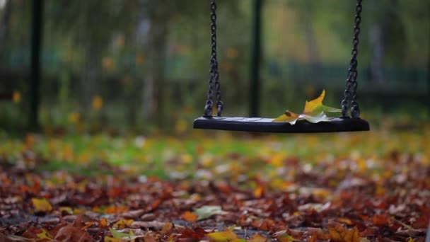Columpio en el día de otoño parque — Vídeo de stock