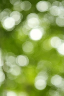 De-odaklı yeşil arka plan