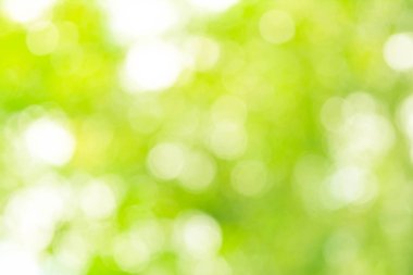 Doğal Pastel yeşil Bokeh arka plan