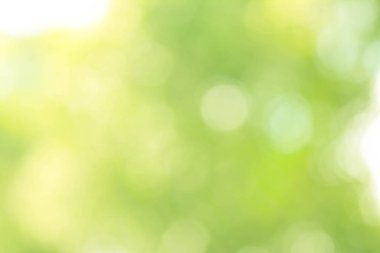 Doğal Pastel yeşil Bokeh arka plan