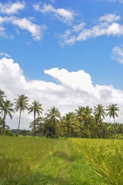 çiftlik ve güzel gökyüzü 