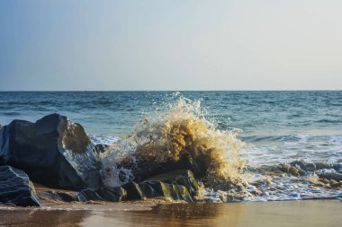 Plaj ve tropikal deniz-Hindistan