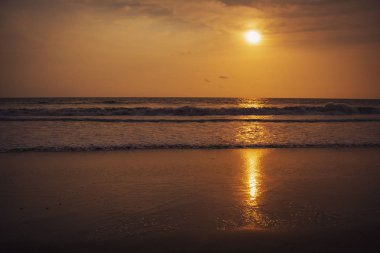 Plaj ve tropikal deniz-Hindistan