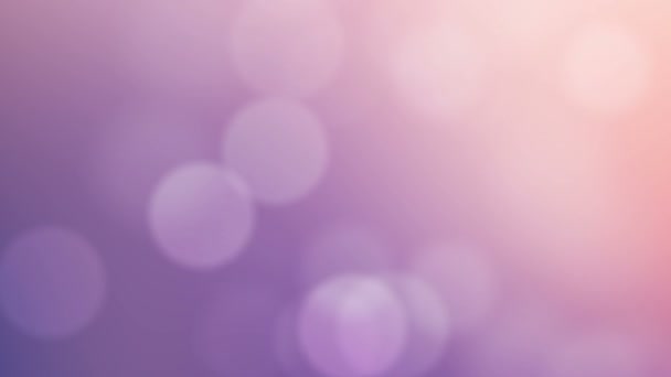 抽象的なピンクのデフォーカス ライト背景 — ストック動画