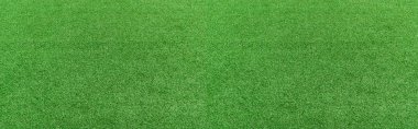 Yeşil çimen dokusu. panorama resmi