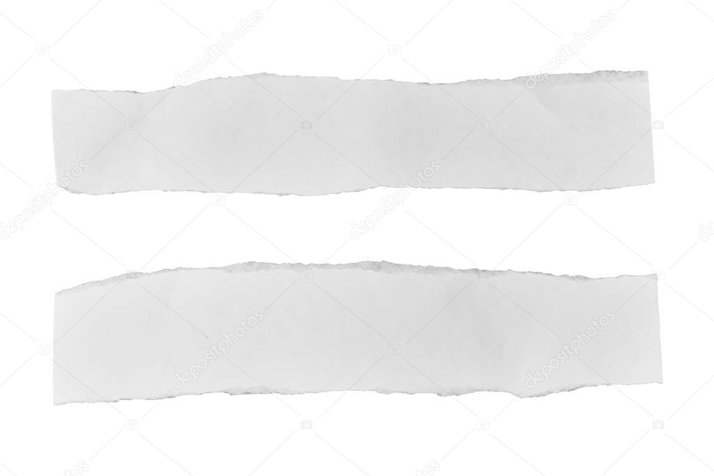 White paper tear, isolated on white background