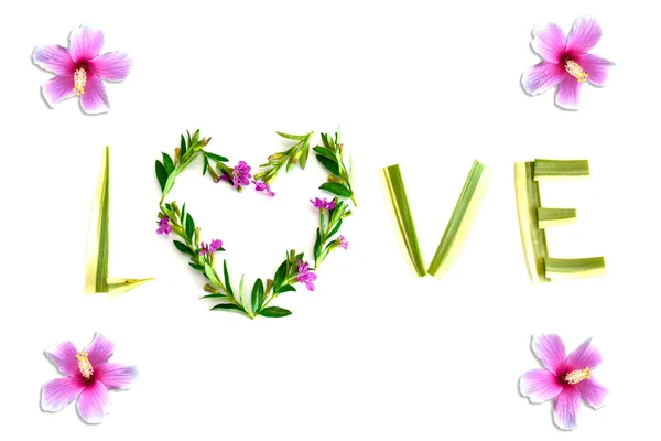 Λέξη Αγάπη Φτιαγμένη Από Λουλούδι Και Φύλλα Λευκό Φόντο Έννοια — Φωτογραφία Αρχείου