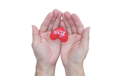 Kırmızı kalbi tutan iki el beyaz arka planda izole edilmiş. kırpma yolu olan nesne.