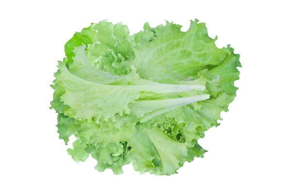 Green Lettuce Salad Isolated White Background Clipping Path — Stock Photo, Image