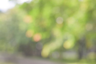 Abstract green natural bokeh background, energy concept. For poster, web or banner.