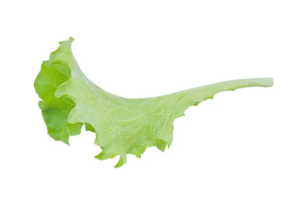 Green Lettuce Isolated White Background Clipping Path — Stock Photo, Image