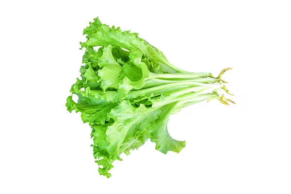 Green Salad Isolated White Background — Stock Photo, Image