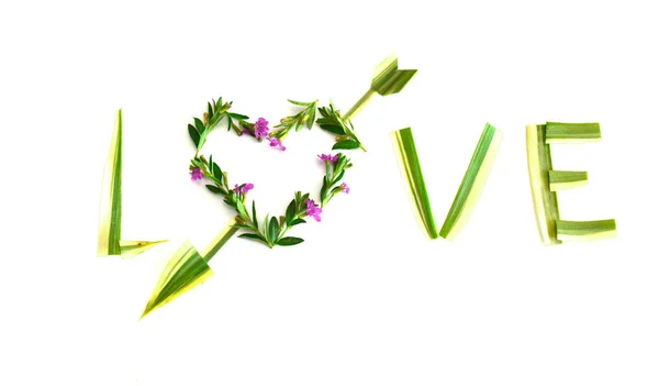 Serce Słowa Miłość Strzałą Kwiatów Liści Pojęcie Miłości — Zdjęcie stockowe