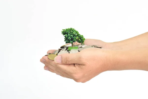 Mãos Segurando Pilha Moedas Pequena Árvore Fundo Branco Conceito Investimento — Fotografia de Stock