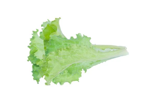 Green Lettuce Salad Isolated White Background Clipping Path — Stock Photo, Image