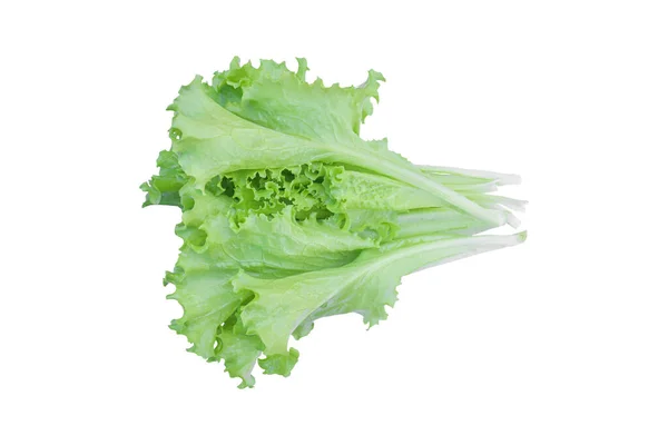 Green Lettuce Salad Isolated White Background Clipping Path — Stock Photo, Image