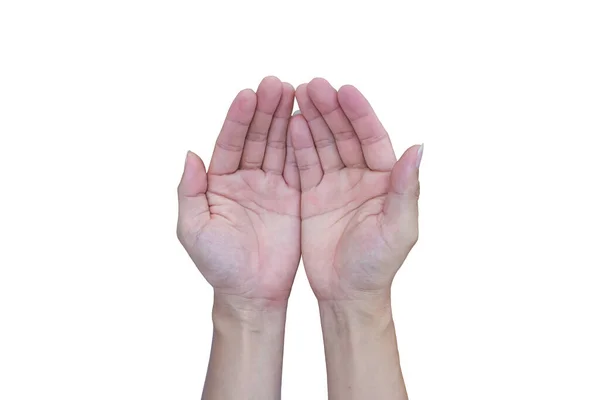 Zwei Offene Hand Isoliert Offen Auf Weißem Hintergrund Mit Schnittpfad — Stockfoto