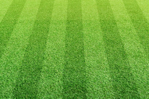 Stripe Grass Soccer Field Sport Lawn Background — Stock Photo, Image