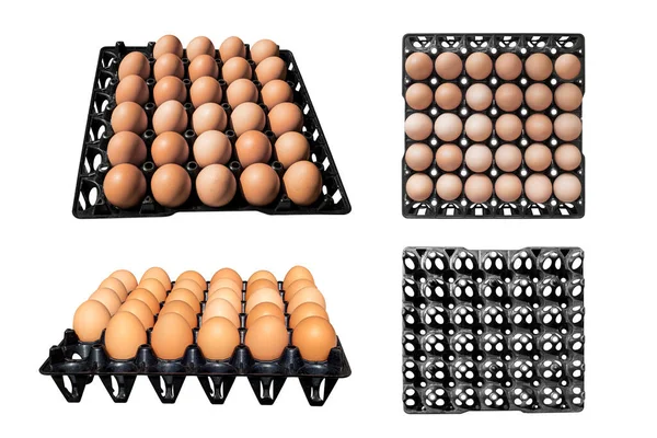 Conjunto Huevos Paquete Plástico Negro Aislado Sobre Fondo Blanco Con — Foto de Stock