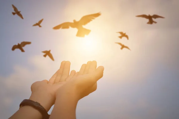 Mani Aperte Palmo Fino Culto Con Uccelli Che Volano Sfondo — Foto Stock