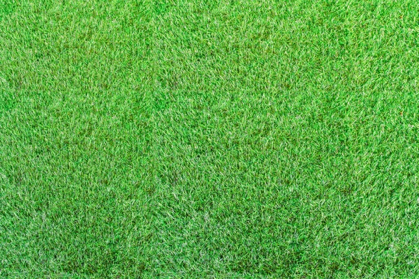 Top View Green Grass Field Texture Background — Stock Photo, Image